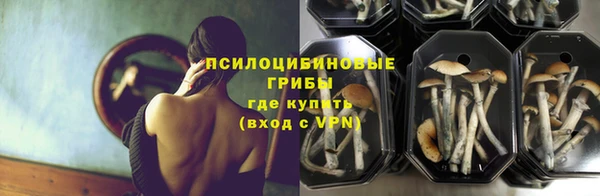 ALPHA-PVP Богородск