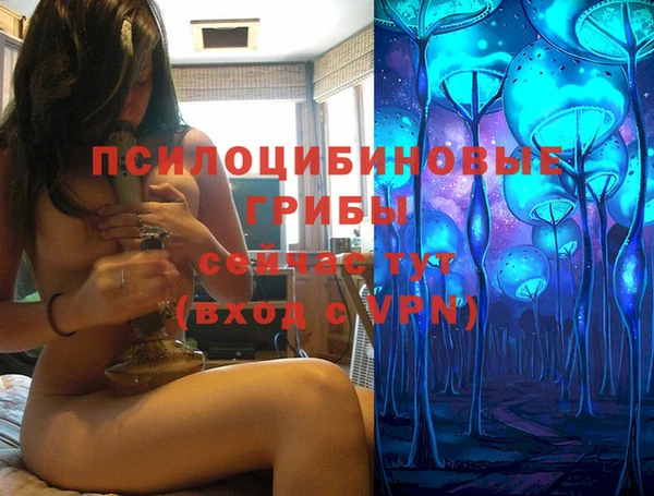 марки nbome Богородицк