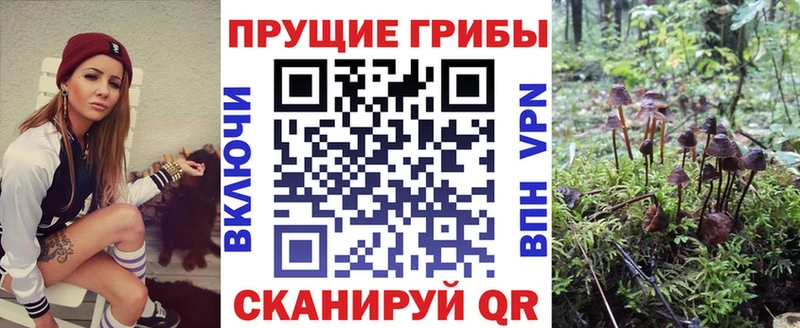 Псилоцибиновые грибы прущие грибы  Купить закладки  Кизел 